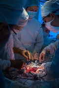 IMG_8463-16.jpg