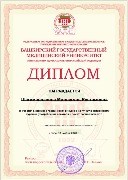 Диплом Шагимарданова М.Р.