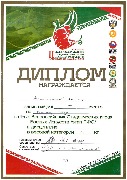 Диплом II ст. за участие во Всероссийский спортивных играх (Миниахметов Д.)