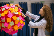 IMG_4984-2.jpg