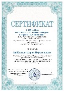 Байбурина Н.Н. (Краснослободский МК)