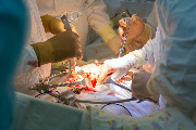 IMG_8349-7.jpg