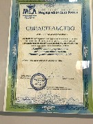 IMG_3519.JPG