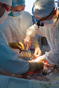 IMG_8532-17.jpg