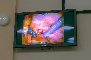 IMG_5277-25.jpg