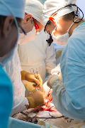 IMG_8336-6.jpg