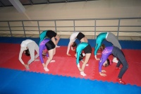 Спортивная акробатика