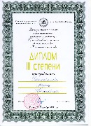 Диплом 3ст. Копытова К.Ю.