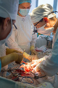 IMG_8552-19.jpg