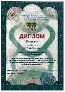 Диплом Батталова А.М.