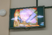 IMG_5276-24.jpg