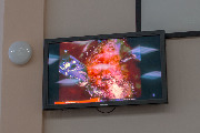 IMG_5347-43.jpg