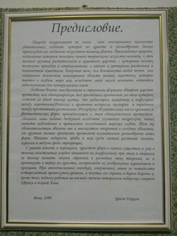 IMG_20171115_121943.jpg