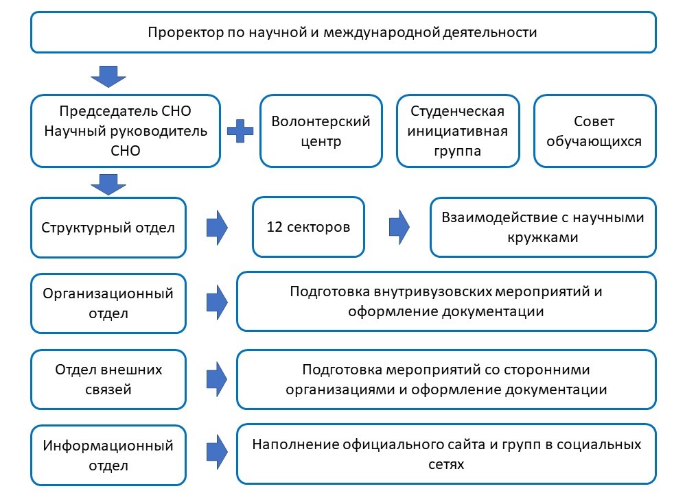 Структура СНО.jpg