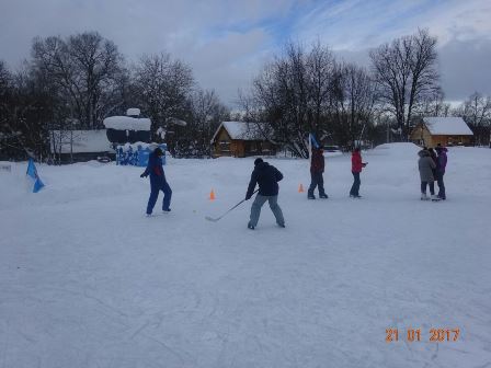 солпульс (7).jpg