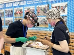 Подведены итоги Международной олимпиады «Новые хирургические вызовы России – 26»