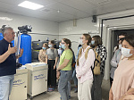 Студенты «Цифровой кафедры» БГМУ приступили к практике в профильной IT-сфере