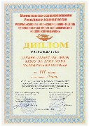 Диплом танцевальный ансамбль Медицинского колледжа