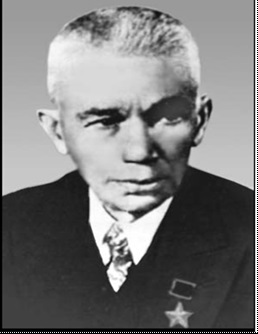 БОГОМОЛЕЦ Александр Александрович