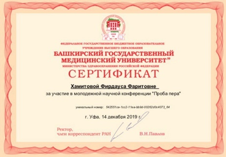авфы.jpg