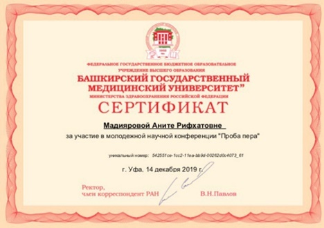 авфы.jpg