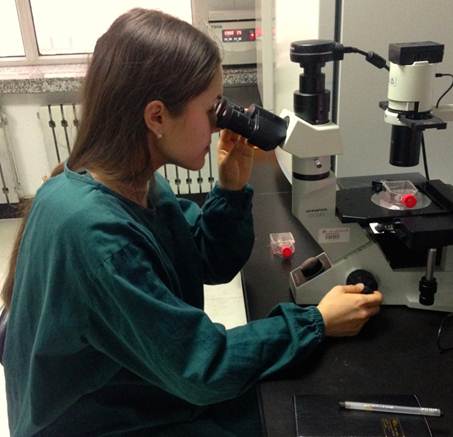 объявление 1 (3).jpg