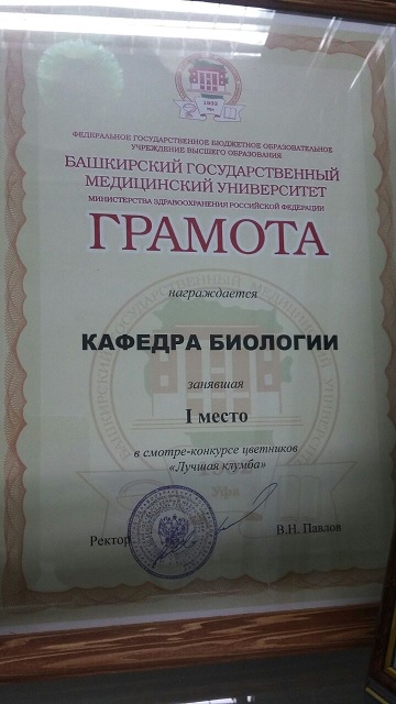 дост1.jpg