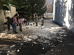 Студенты медико-профилактического факультета с отделением биологии приняли активное участие в экологическом месячнике