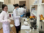 Иностранные студенты БГМУ освоили азы экспериментальной медицины