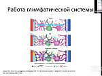 В БГМУ состоялась конференция «Актуальные вопросы неврологии»