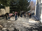 Студенты медико-профилактического факультета с отделением биологии приняли активное участие в экологическом месячнике