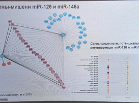 В БГМУ прошла Всероссийская молодежная научно-практическая конференция «НАУЧНЫЙ ПОТЕНЦИАЛ – 2024»