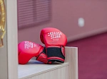 Студенты БГМУ представят свои исследования в рамках Университетской лиги научных битв России 