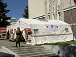 В БГМУ проходит марафон «Тактическая медицина: от Победы к Победе»