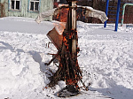 Спортивно-оздоровительное мероприятие «Зимние старты»