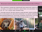 Онлайн-собрание студенческих научных кружков по биохимии Башкирского государственного медицинского университета и Рязанского государственного медицинского университета имени академика И.П. Павлова