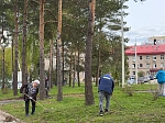 Готовимся к Первомаю: в Клинике БГМУ прошел масштабный субботник