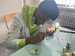 BSMU teachers held case studies for future pharmacists from foreign countries