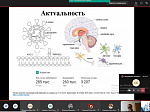 Comorbid Neurology online conference