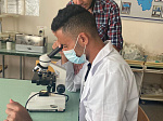BSMU teachers held case studies for future pharmacists from foreign countries