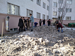 Студенты лечебного факультета БГМУ приняли участие активное участие в субботнике