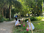 практикафармако