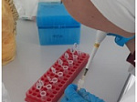 Стажировка PhD докторанта из Казахстана