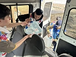 Сотрудники БГМУ направили очередную партию гуманитарной помощи в зону СВО