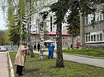 Готовимся к Первомаю: в Клинике БГМУ прошел масштабный субботник