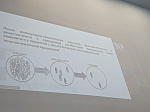 Всероссийская научно-практическая конференция  «Современный взгляд на проблемы фундаментальной медицины»