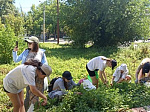 практикафармако
