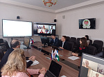 Рабочая встреча в формате онлайн с профессором Венского медицинского университета Рудольфом Валентой